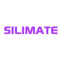 Silimate (YC S23) logo