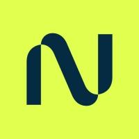 Nebius AI logo